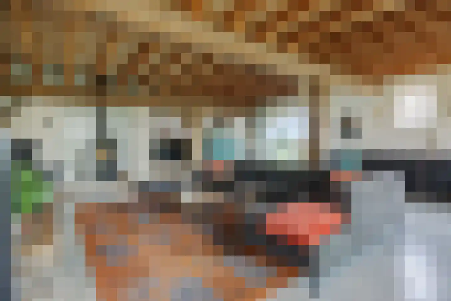 Kruisstraat 64 Rosmalen thumbnail 9