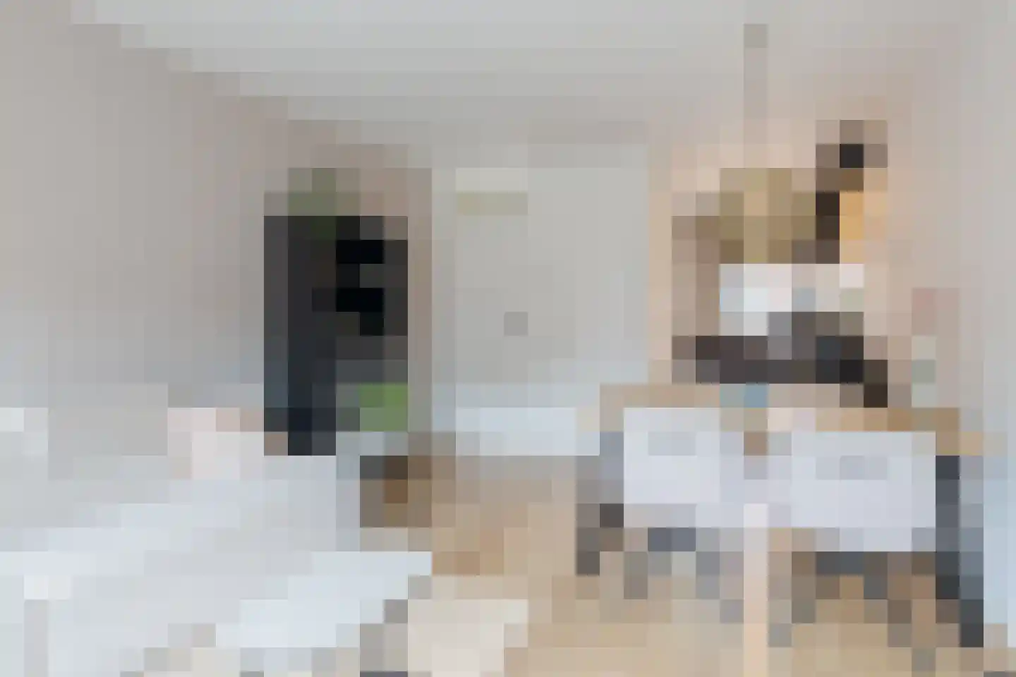 Kruisstraat 67 Oldemarkt thumbnail 13