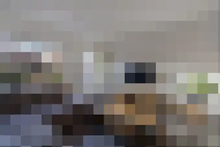 Kruisstraat 69 Ens thumbnail 20