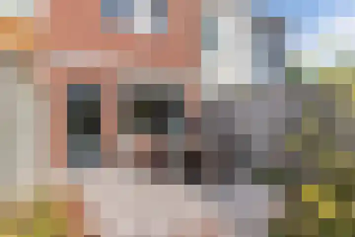 Kruisstraat 69 Ens thumbnail 27