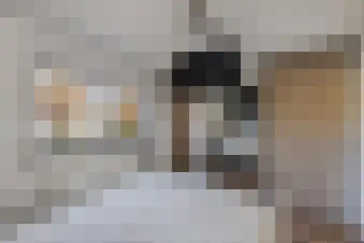 Kruisstraat 69 Ens thumbnail 36