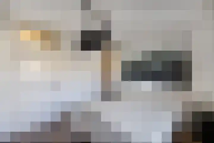Kruisstraat 69 Ens thumbnail 37
