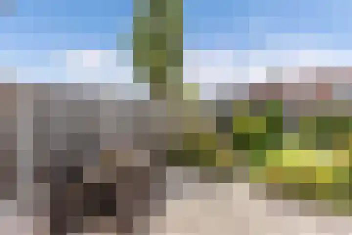 Kruisstraat 69 Ens thumbnail 4