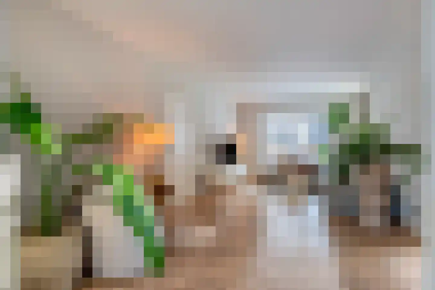 Kruisstraat 69 Stein thumbnail 13