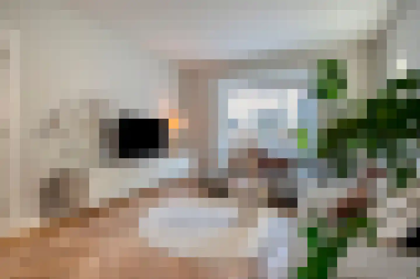 Kruisstraat 69 Stein thumbnail 15