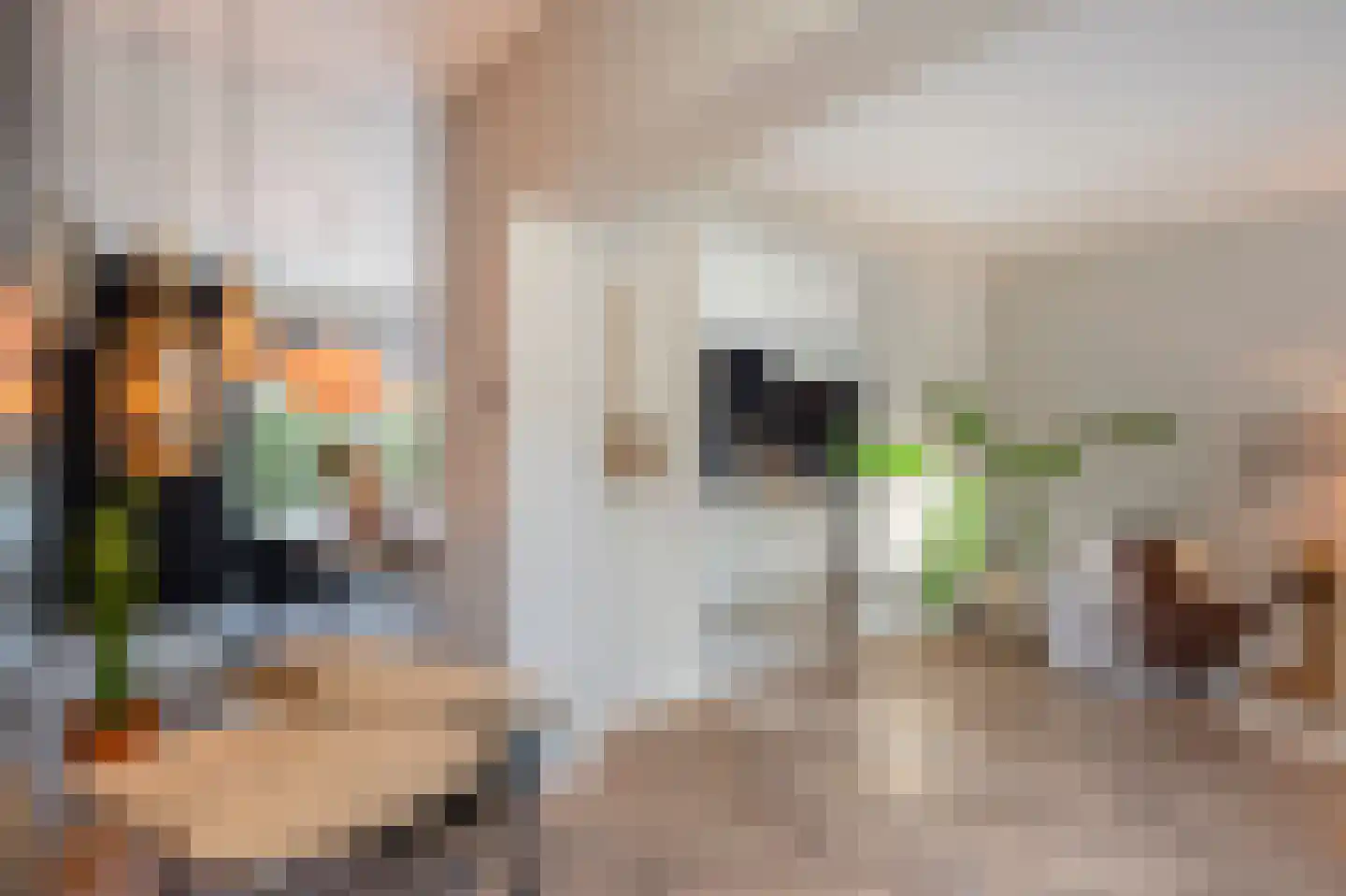 Kruisstraat 69 Stein thumbnail 18
