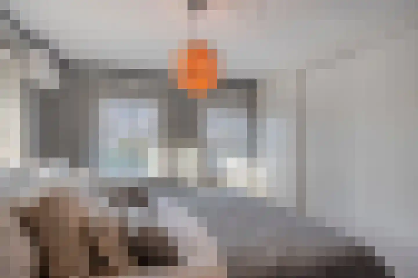 Kruisstraat 69 Stein thumbnail 32