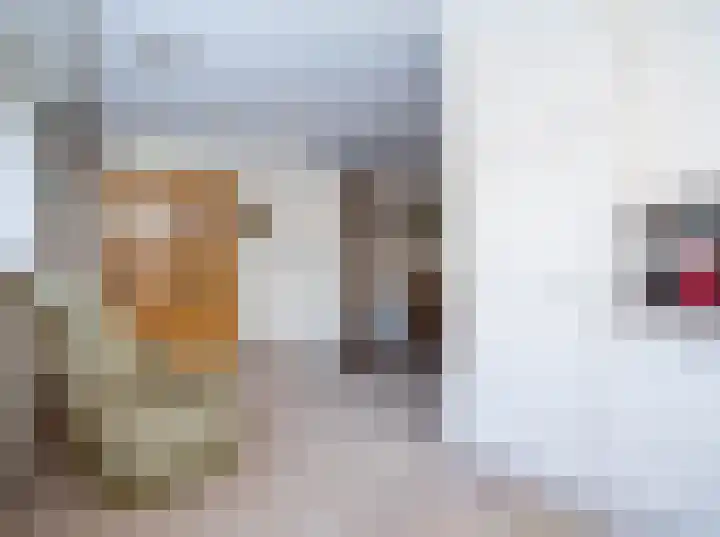 Kruisstraat 7 Deurne thumbnail 10