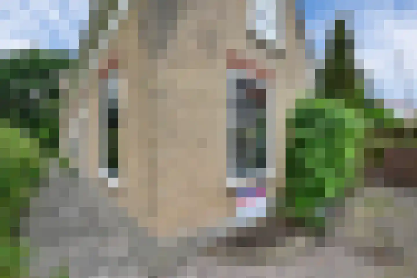 Kruisstraat 7 Maassluis thumbnail 37