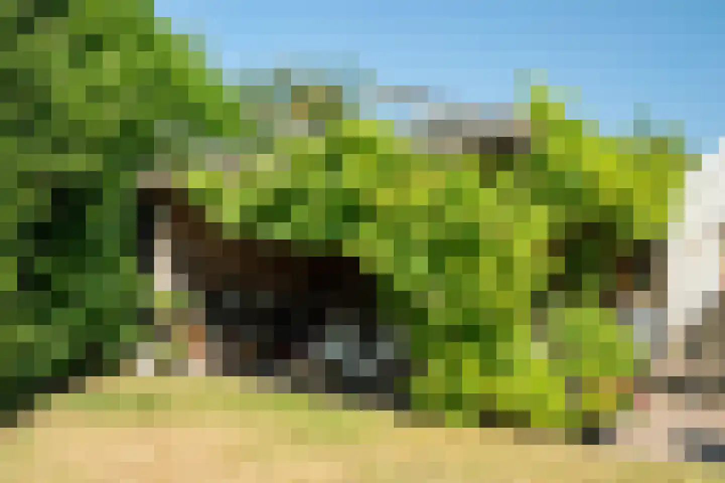 Kruisstraat 7 Oene thumbnail 20