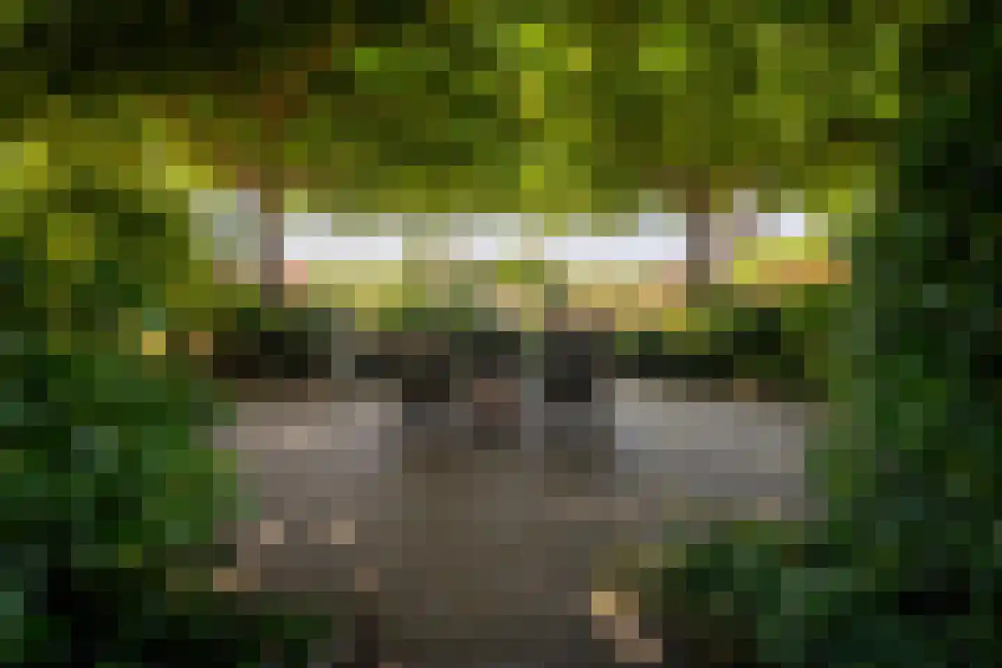 Kruisstraat 7 Oene thumbnail 21