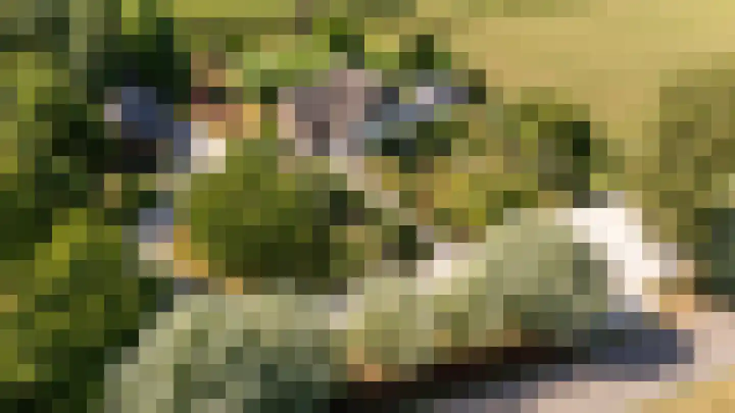 Kruisstraat 7 Oene thumbnail 29