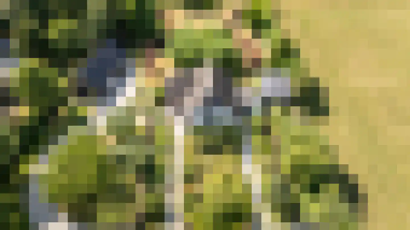 Kruisstraat 7 Oene thumbnail 35