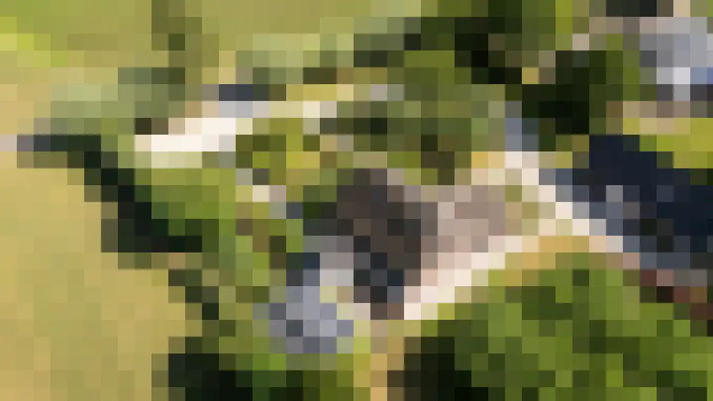 Kruisstraat 7 Oene thumbnail 37
