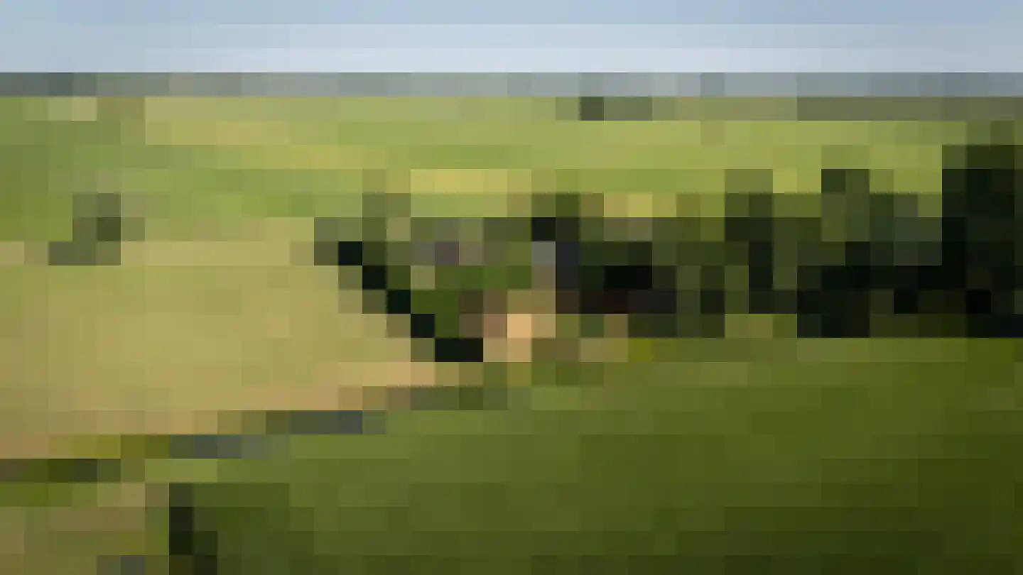Kruisstraat 7 Oene thumbnail 38