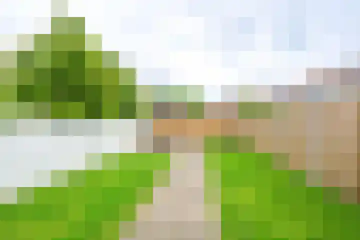 Kruisstraat 7 Slootdorp thumbnail 27