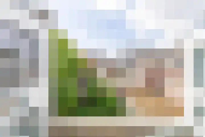 Kruisstraat 70 J Eindhoven thumbnail 18