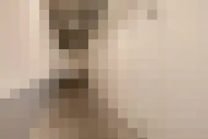 Kruisstraat 70 J Eindhoven thumbnail 33