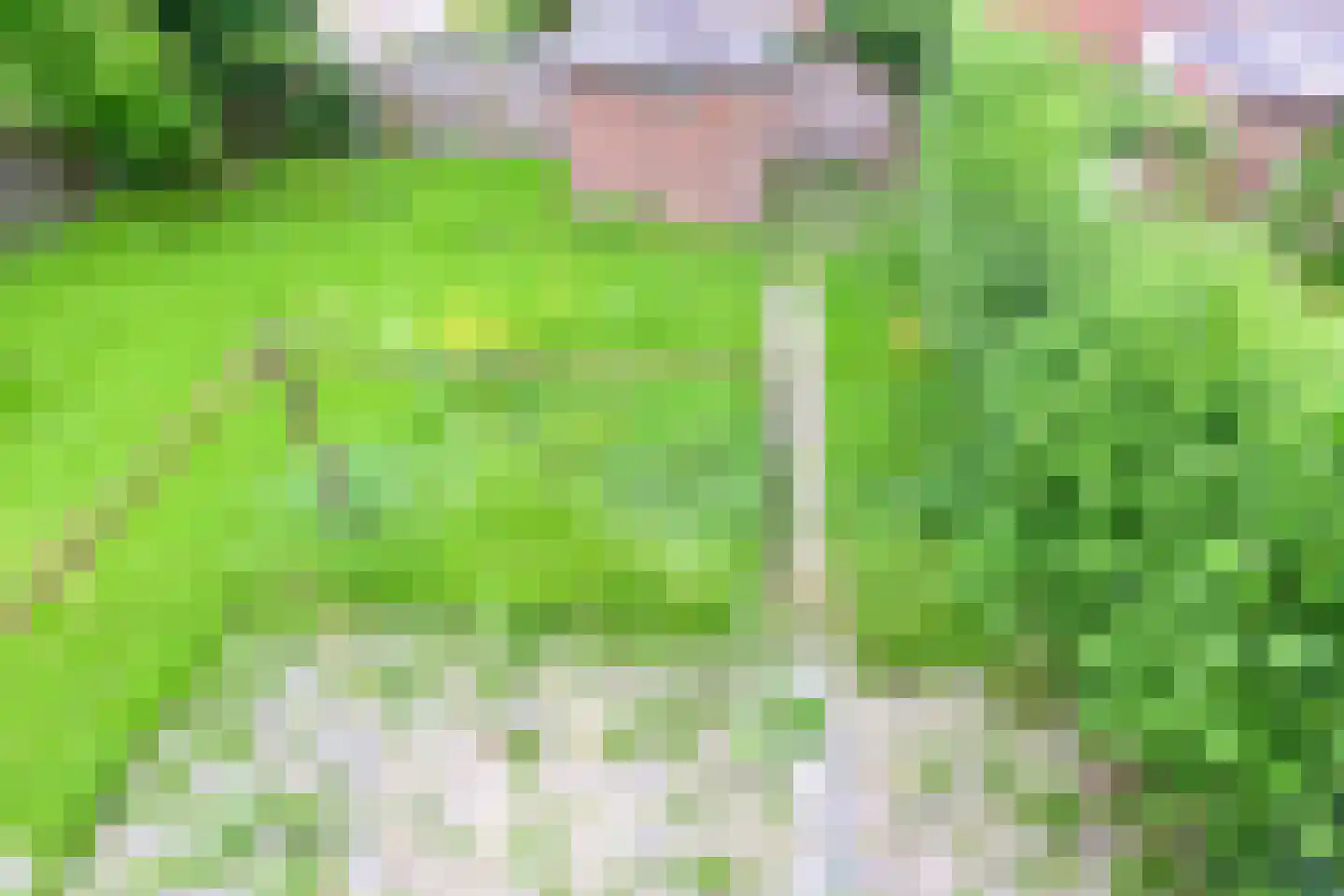 Kruisstraat 76 Ens thumbnail 24