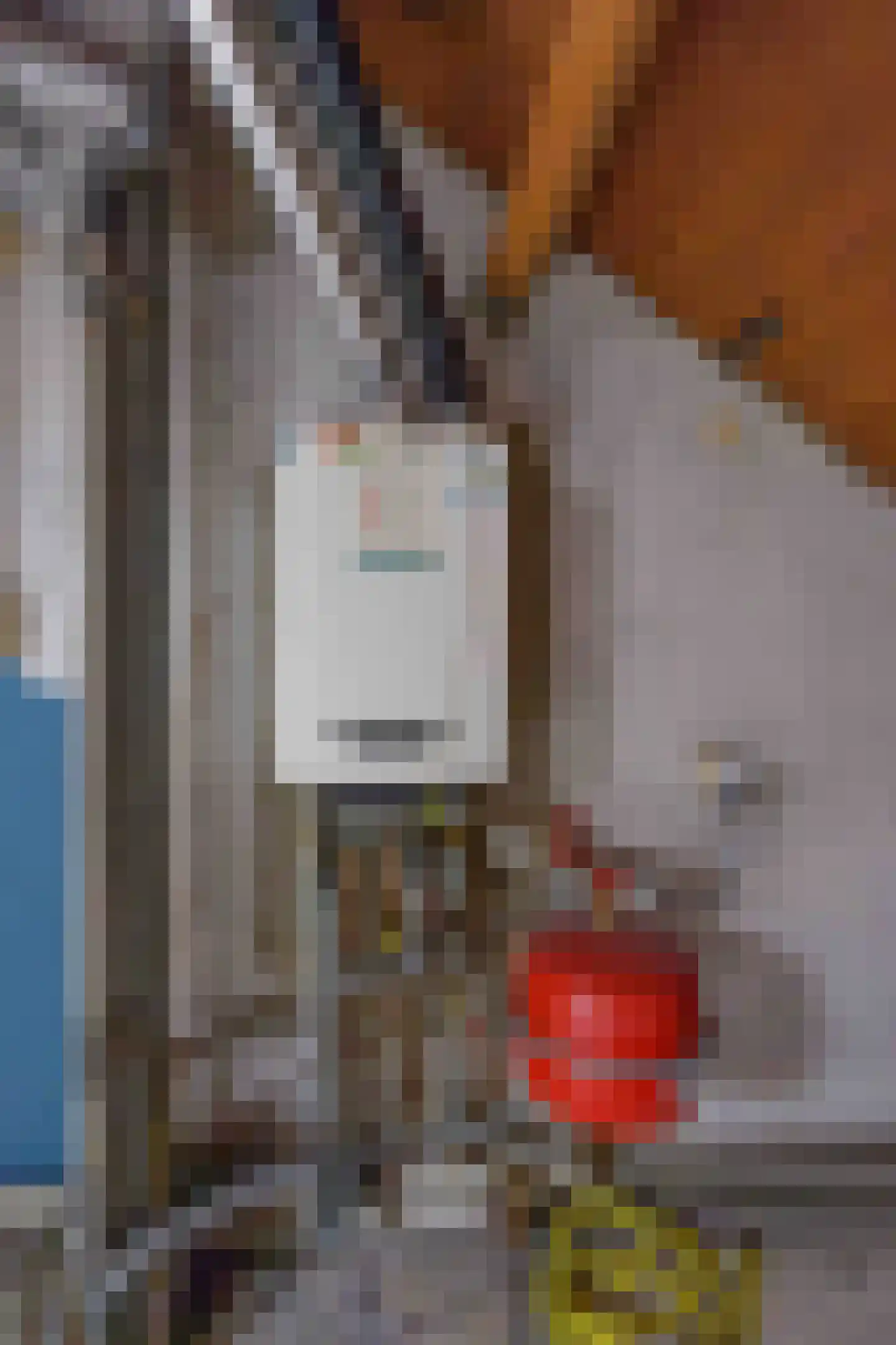 Kruisstraat 76 Ens thumbnail 34