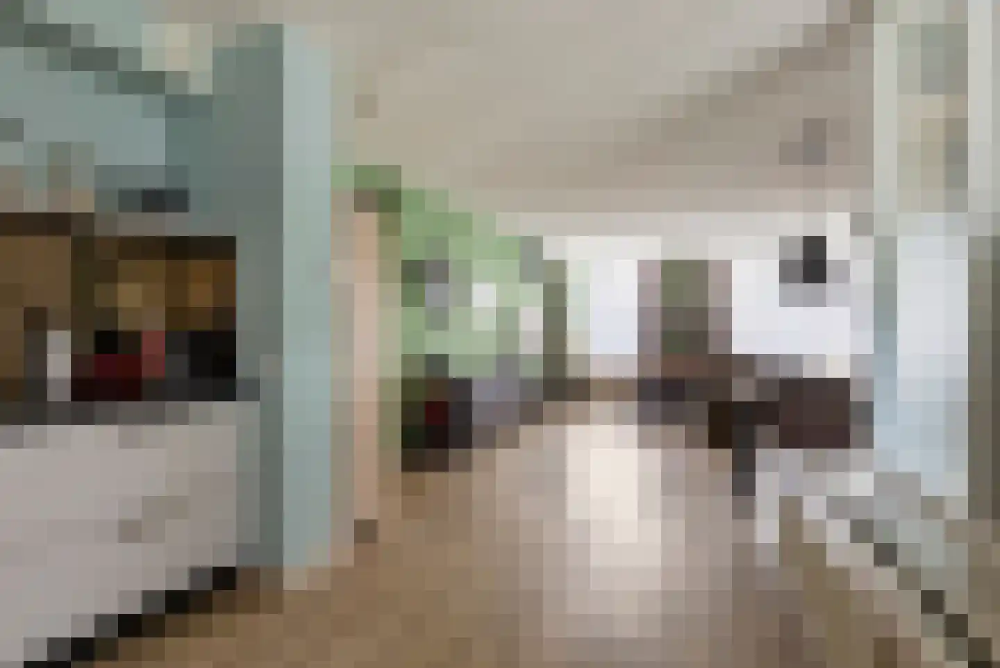 Kruisstraat 76 Oss thumbnail 10