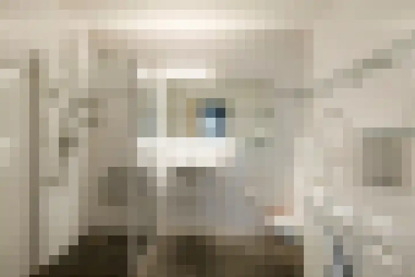 Kruisstraat 76 Oss thumbnail 16