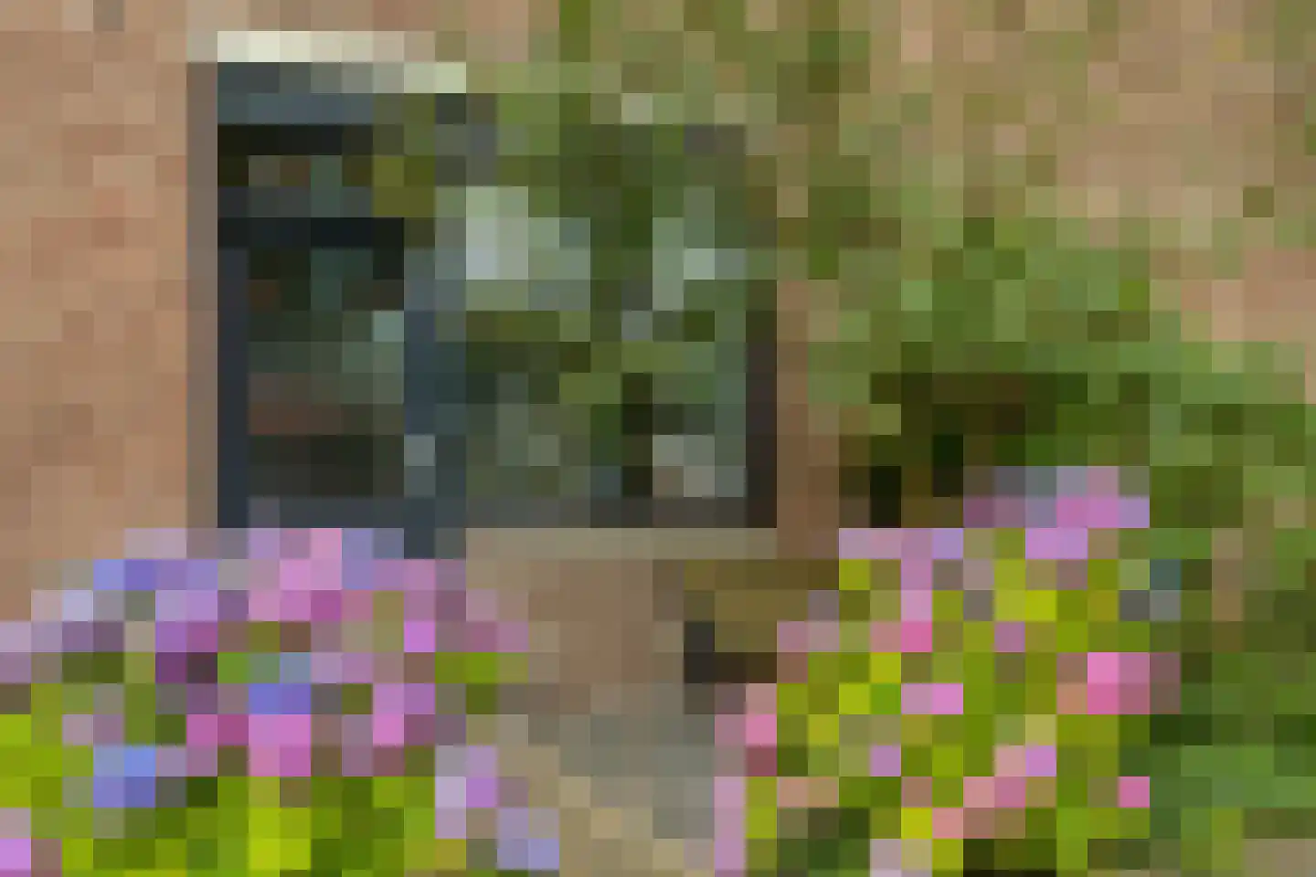 Kruisstraat 76 Oss thumbnail 20