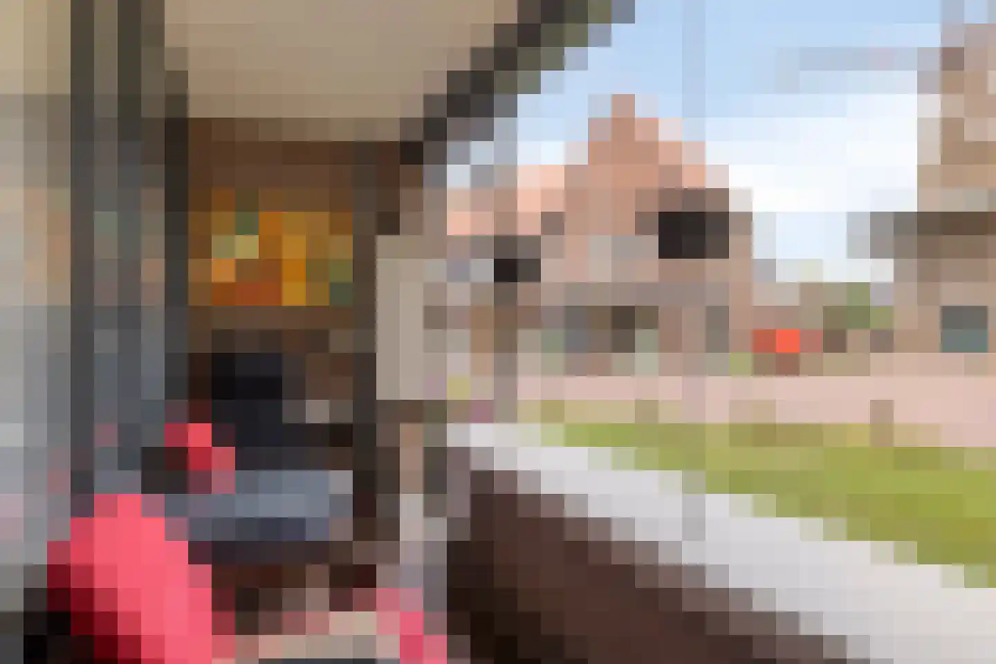 Kruisstraat 76 Oss thumbnail 7