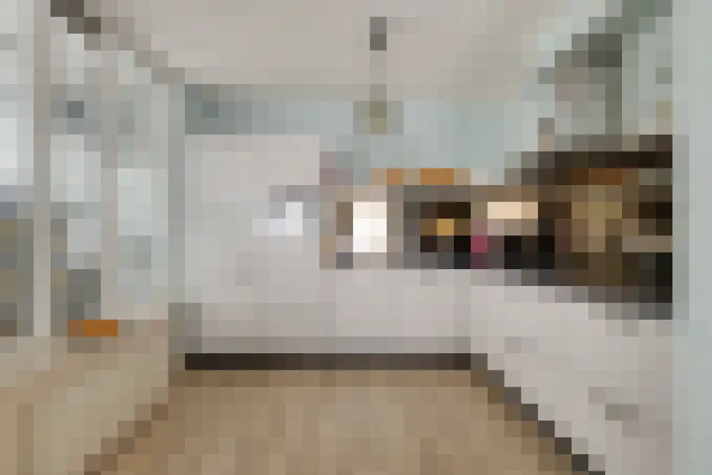 Kruisstraat 76 Oss thumbnail 9