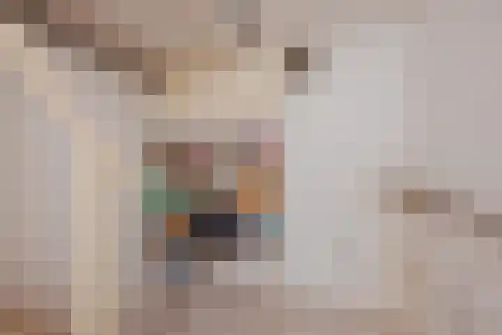 Kruisstraat 8 Hegelsom thumbnail 17