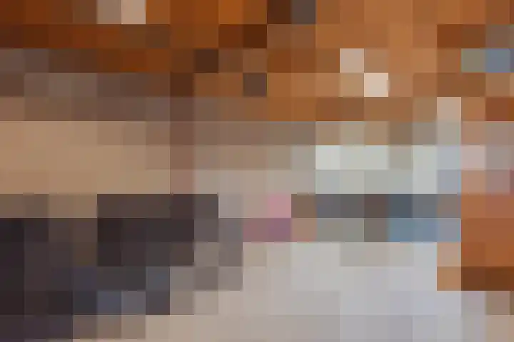 Kruisstraat 8 Hegelsom thumbnail 35