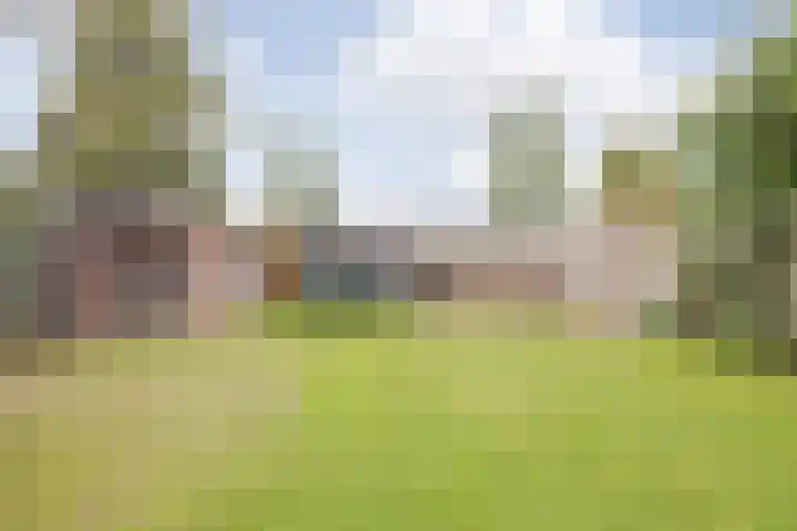 Kruisstraat 8 Hegelsom thumbnail 40