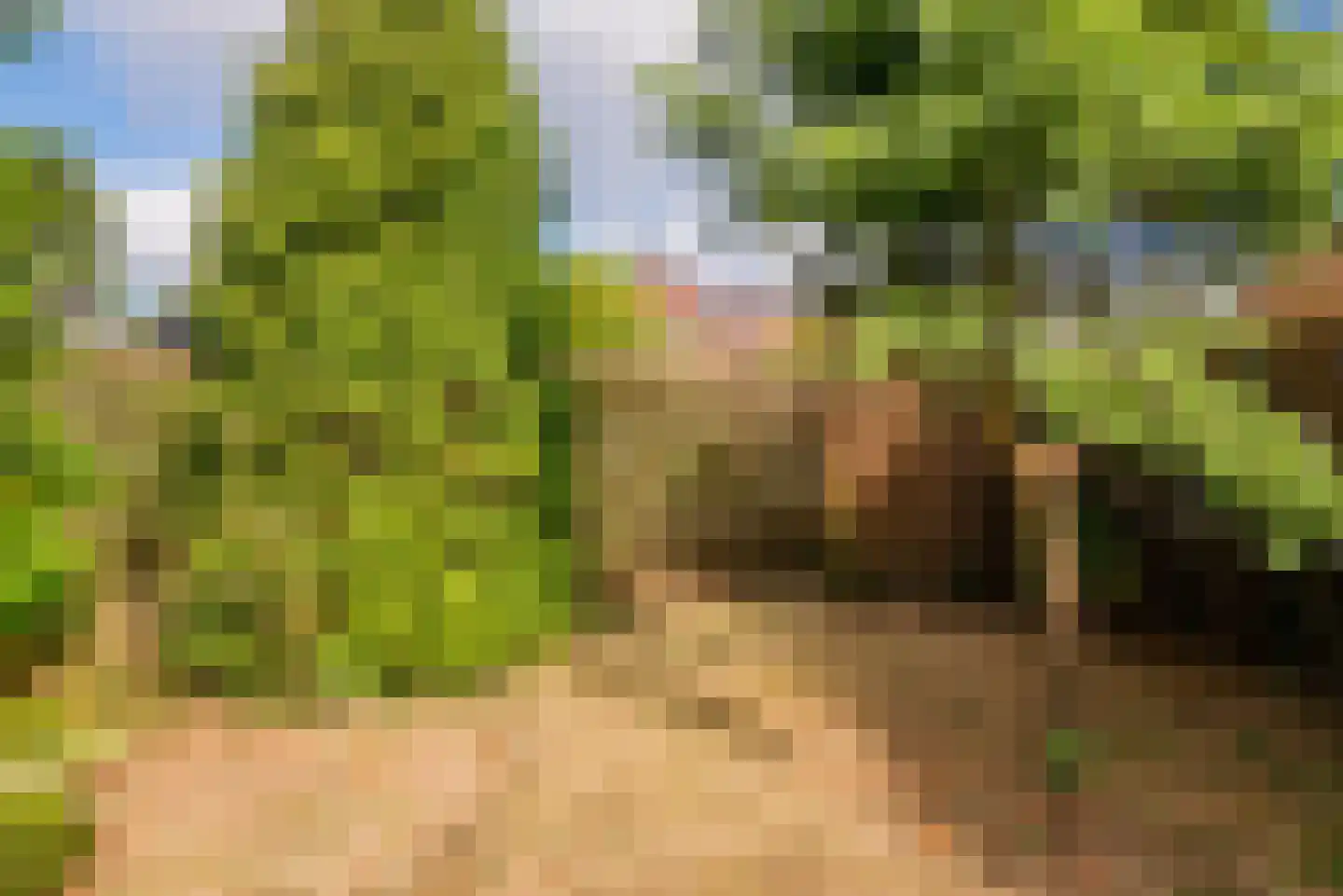 Kruisstraat 8 Tegelen thumbnail 24