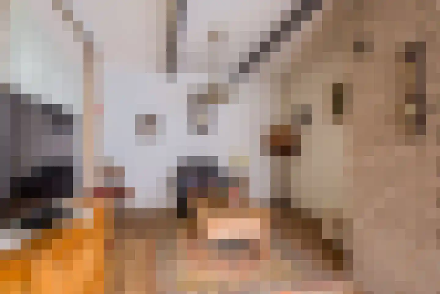 Kruisstraat 8 Tegelen thumbnail 7