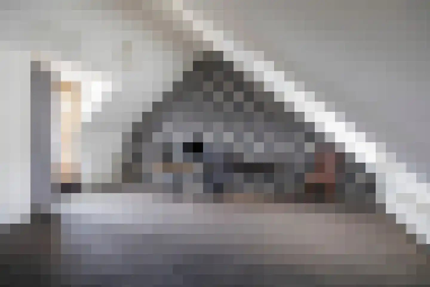 Kruisstraat 87 Herpen thumbnail 31