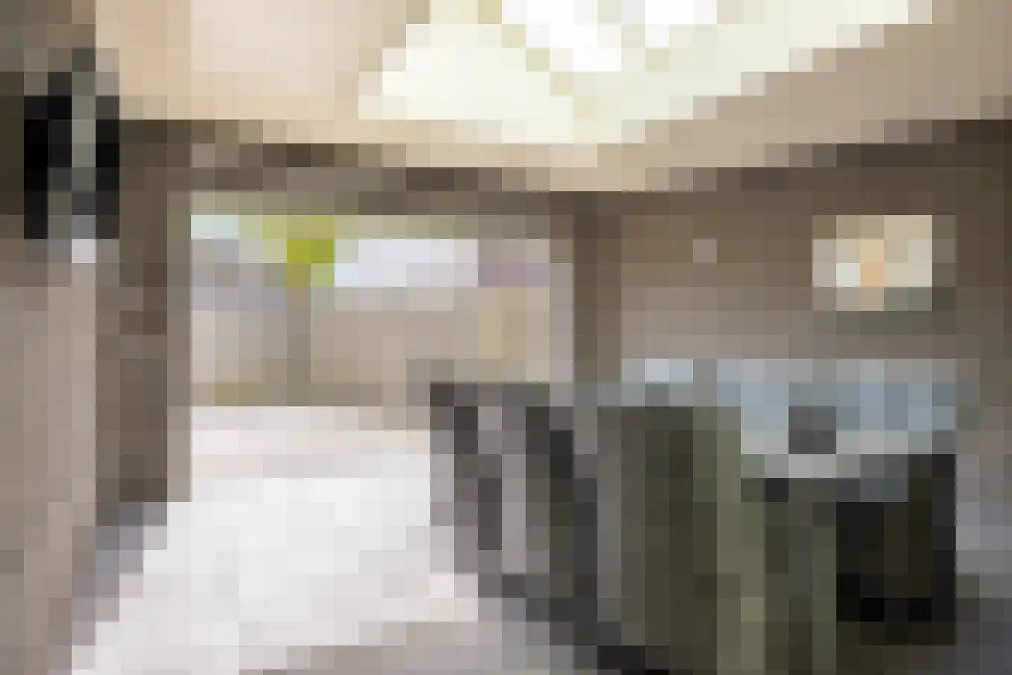 Kruisstraat 87 Herpen thumbnail 34