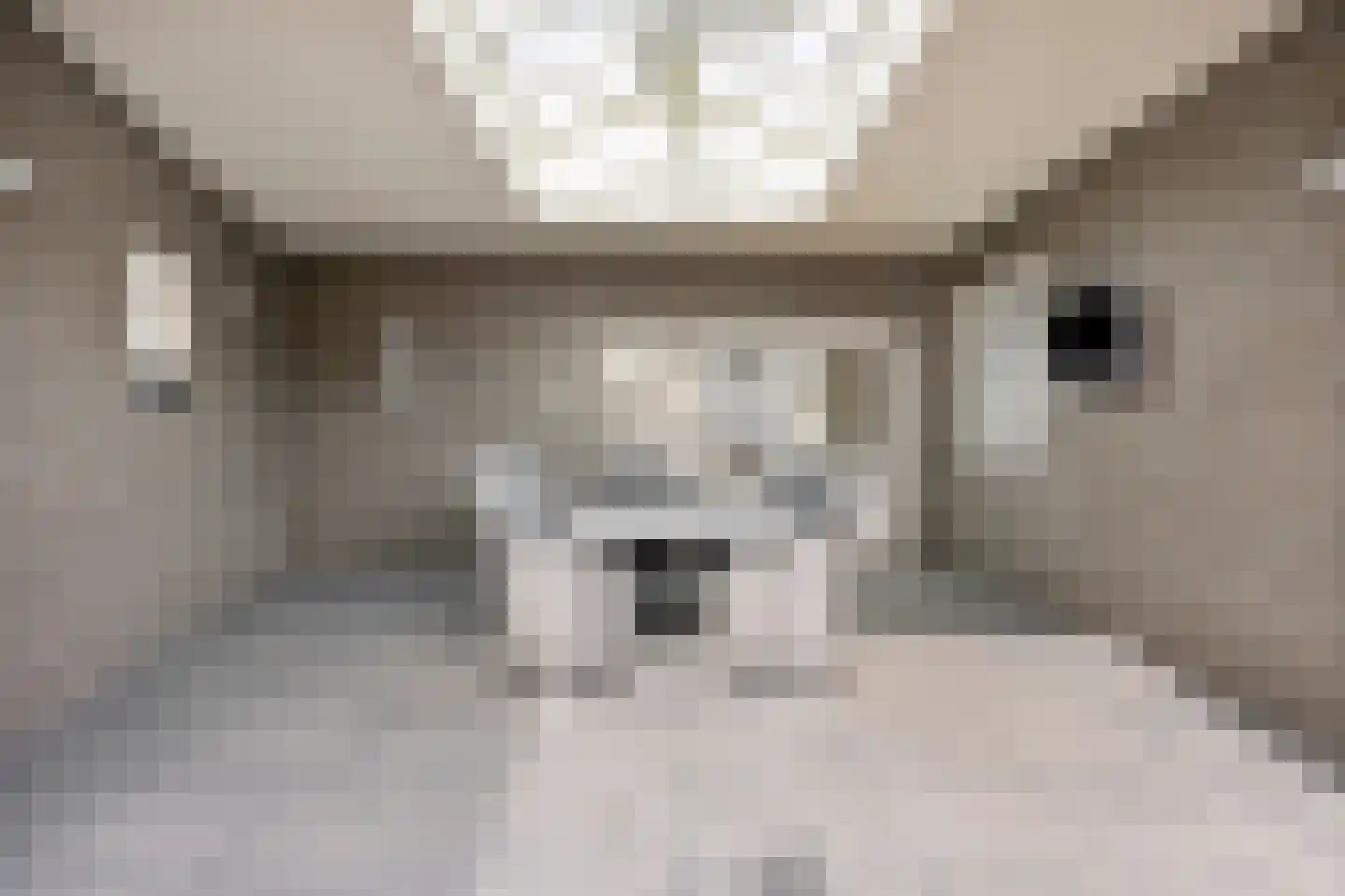 Kruisstraat 87 Herpen thumbnail 35