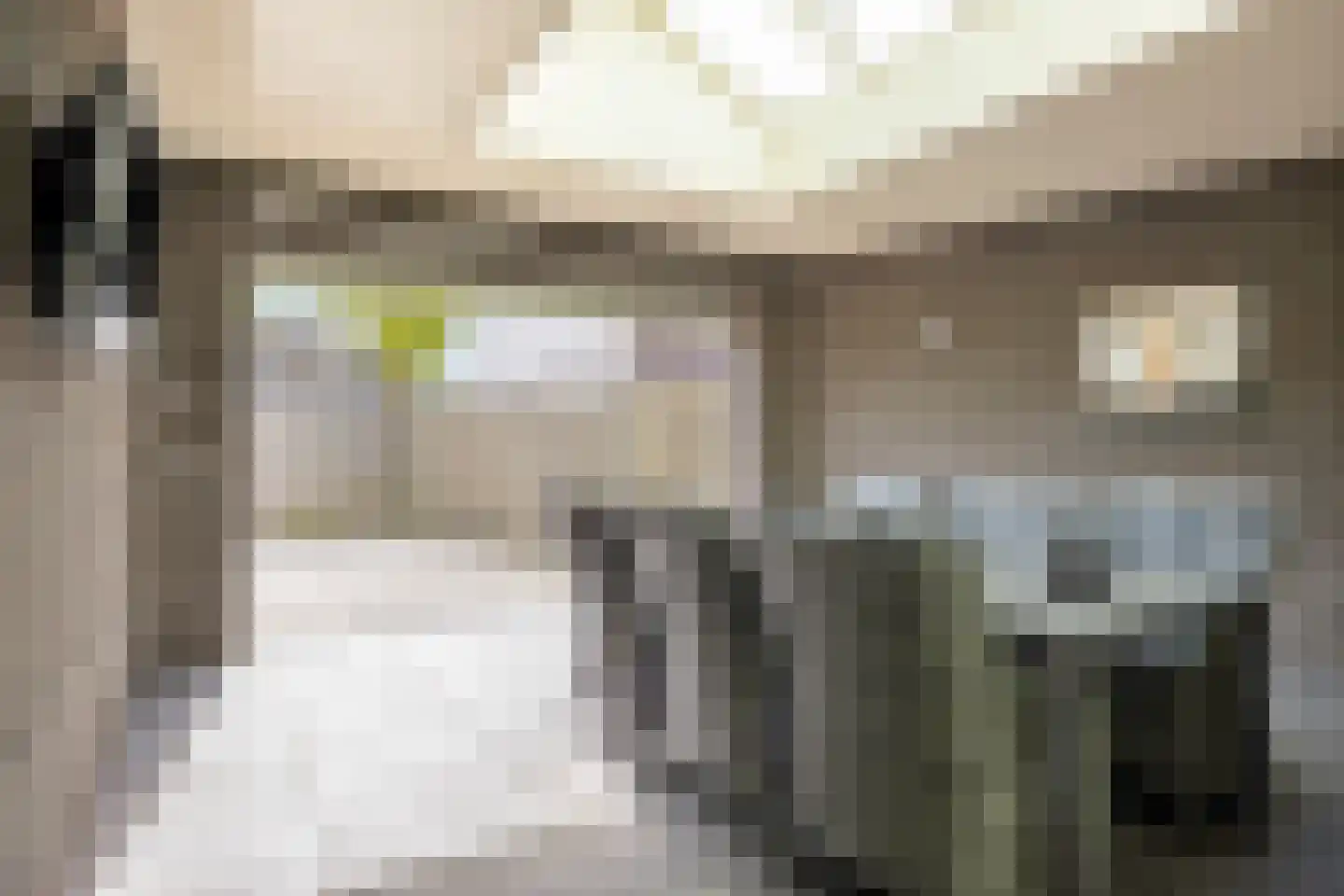 Kruisstraat 87 Herpen thumbnail 5