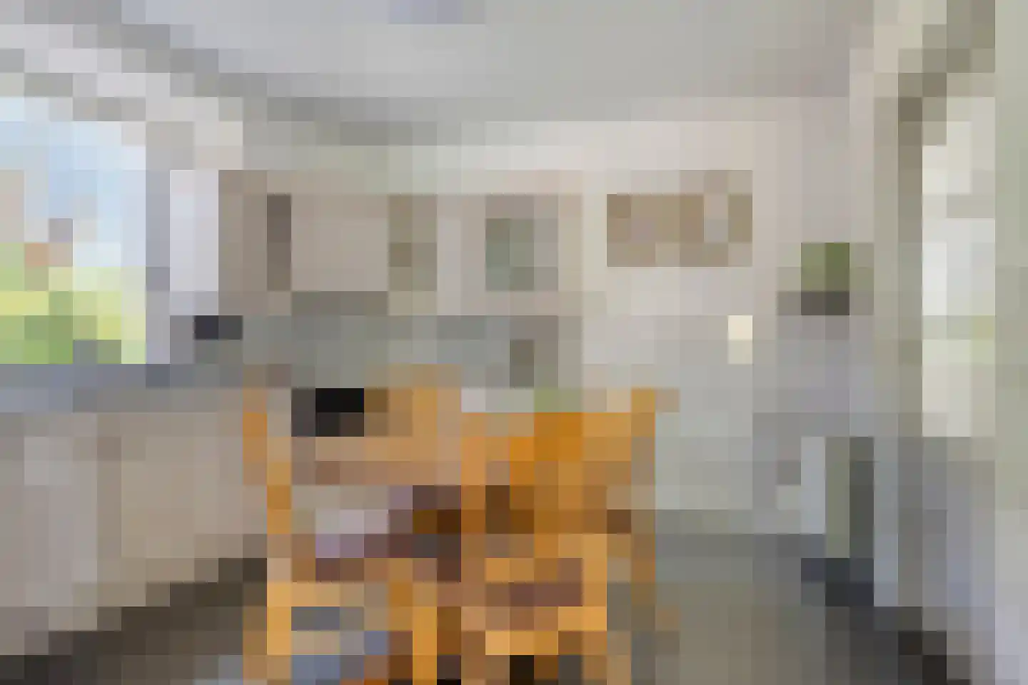 Kruisstraat 89 Herpen thumbnail 12