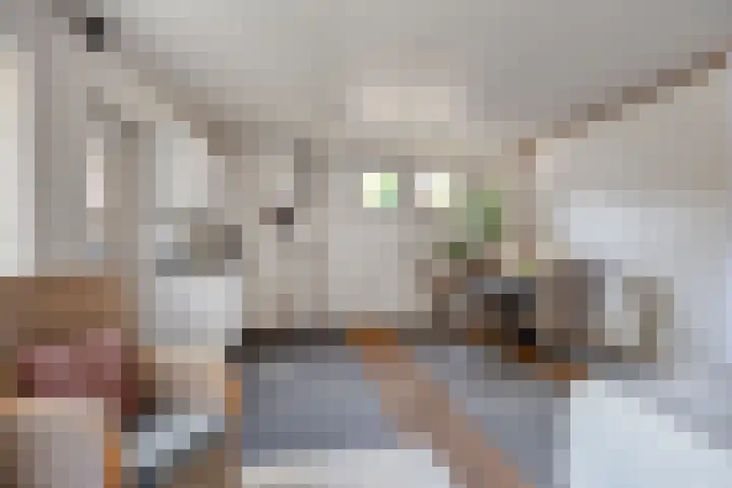 Kruisstraat 89 Herpen thumbnail 22