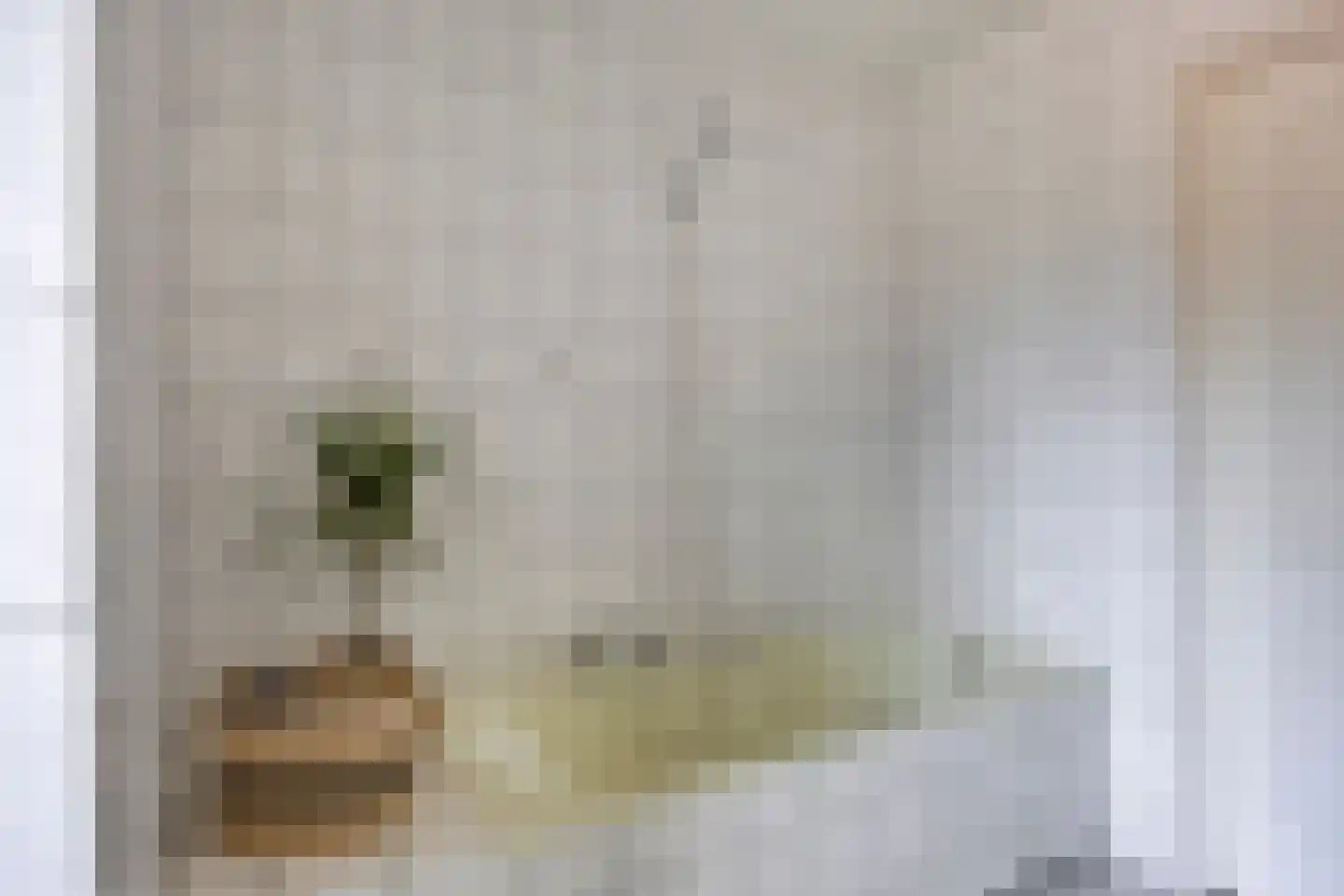 Kruisstraat 89 Herpen thumbnail 25