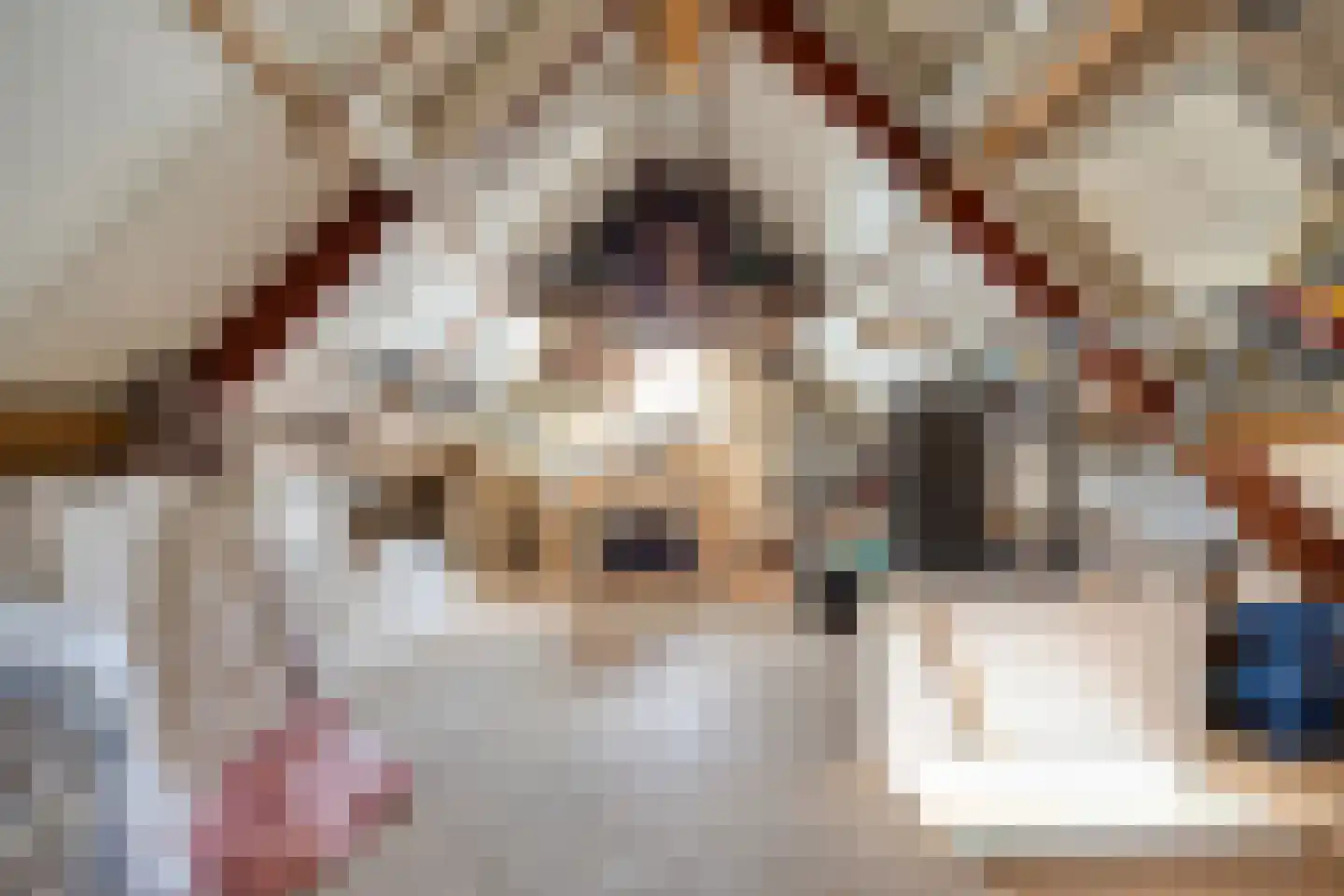 Kruisstraat 89 Herpen thumbnail 49