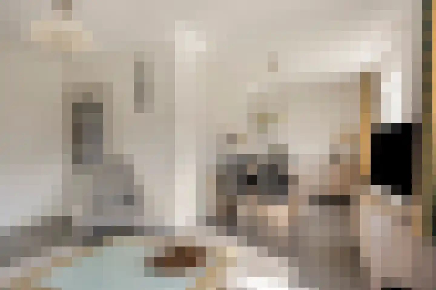 Kruisstraat 89 Herpen thumbnail 8