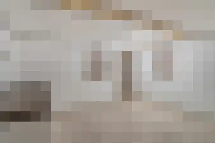 Kruisstraat 94 Stein thumbnail 39