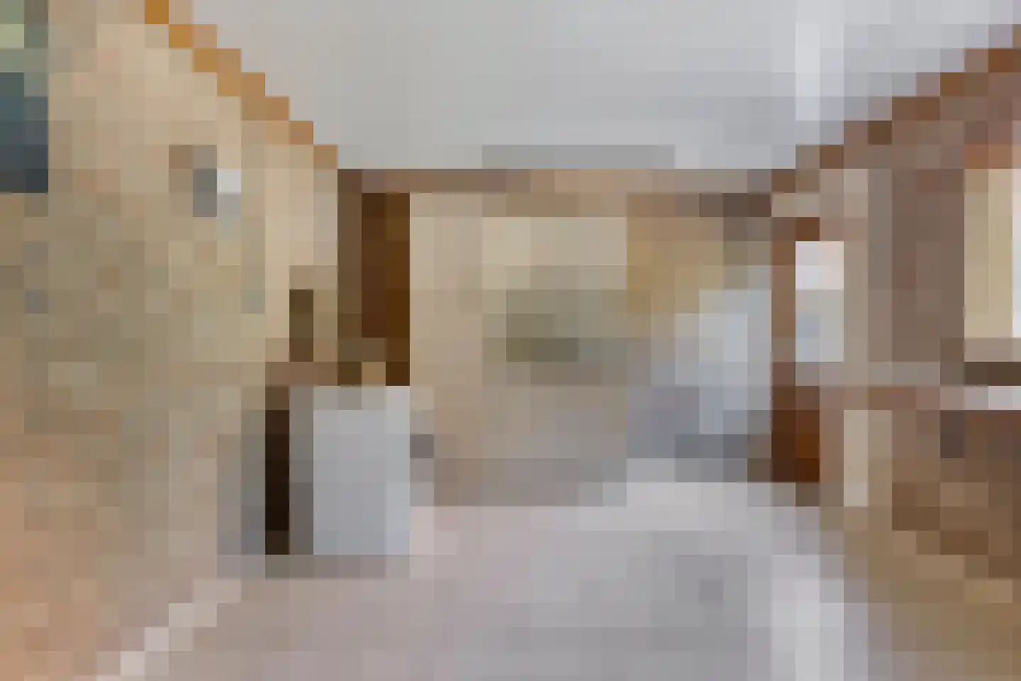 Kruisstraat 94 Stein thumbnail 43