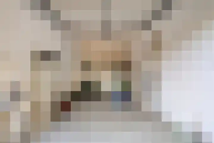 Kruisstraat 94 Stein thumbnail 44