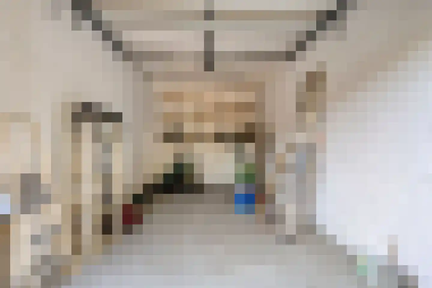 Kruisstraat 94 Stein thumbnail 44