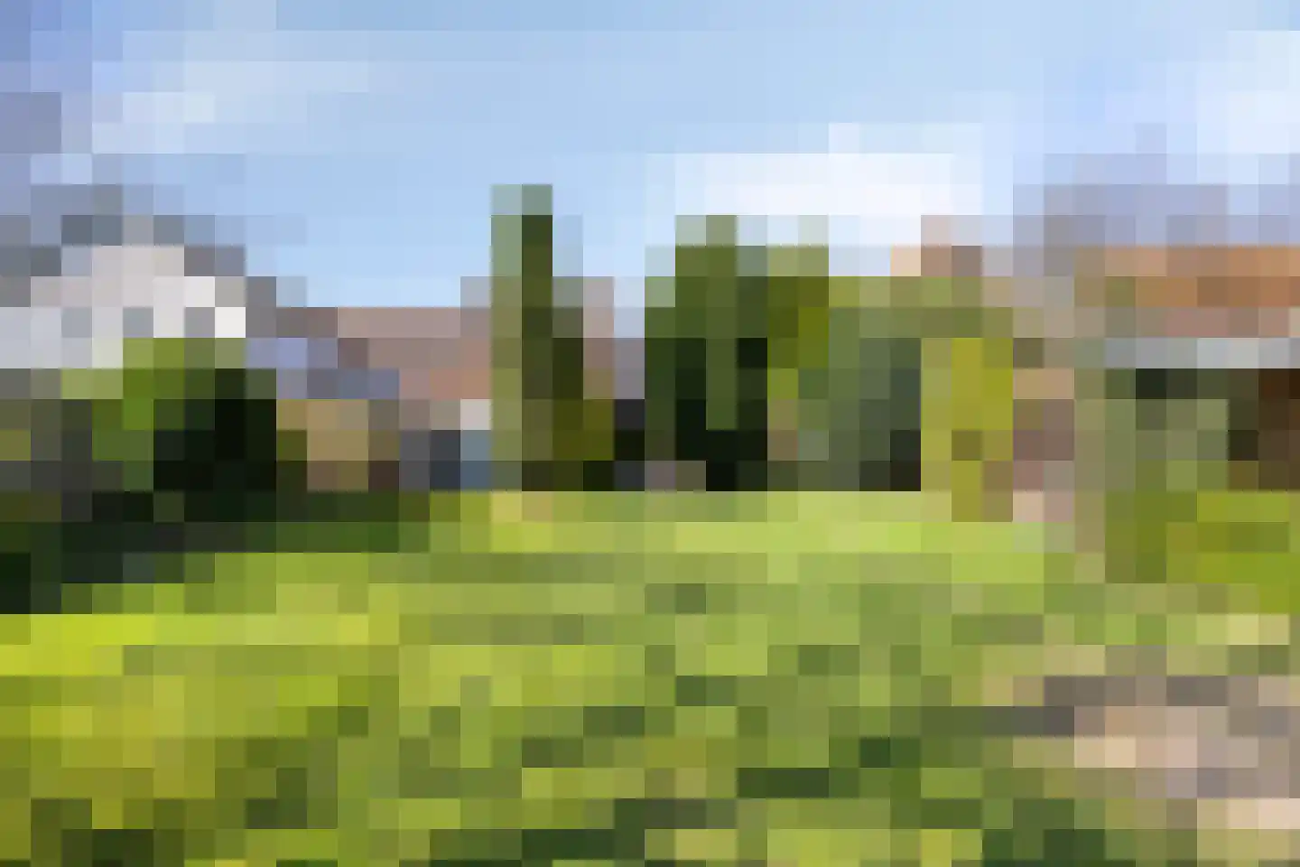 Kruisstraat 94 Stein thumbnail 51