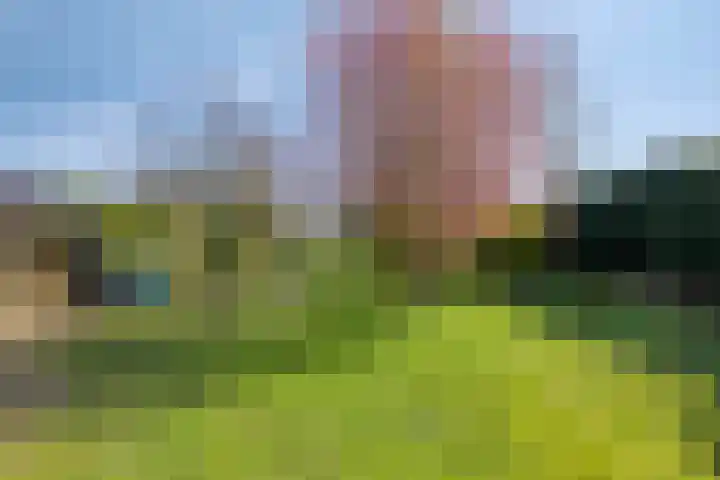 Kruisstraat 94 Stein thumbnail 52