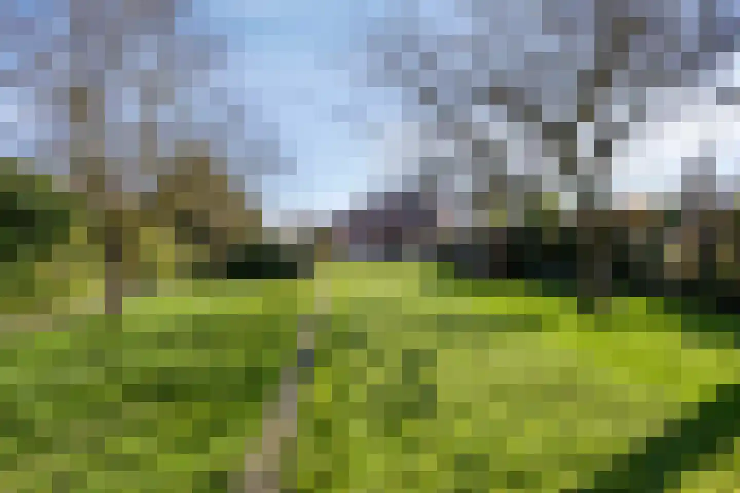 Kruisstraat 94 Stein thumbnail 53